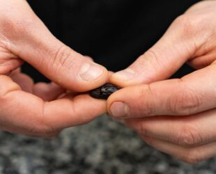 01 Torréfaction 10-58