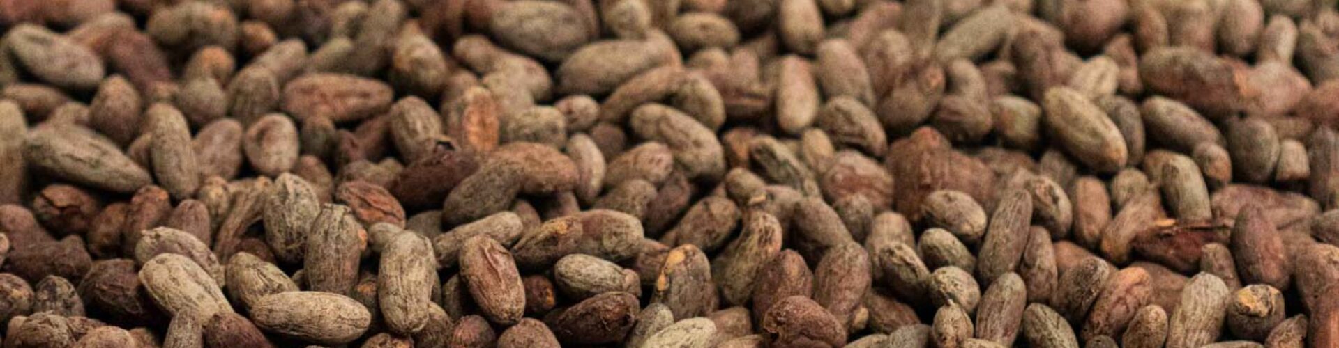 01 Torréfaction 22-108