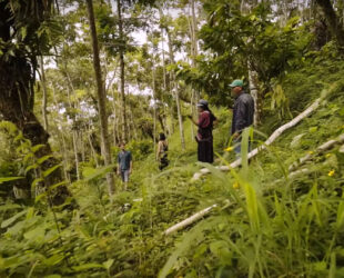 Capture d’écran 2022-10-12 à 20.06.39-10